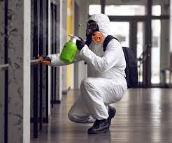 Mold Remediation for Rental Properties in Irwin, PA